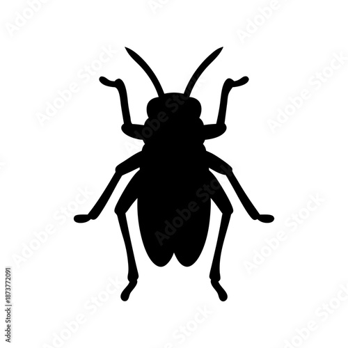Silhouette of an insect