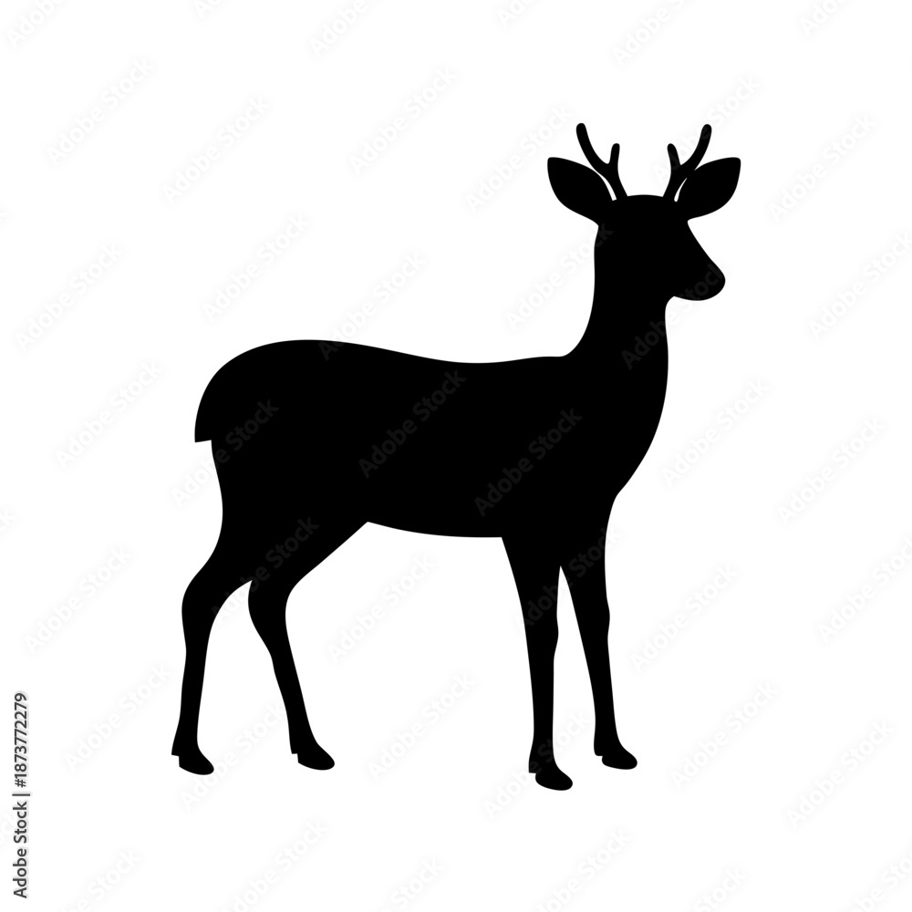 Obraz premium Silhouette of a deer