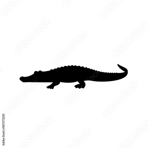 Silhouette of an alligator
