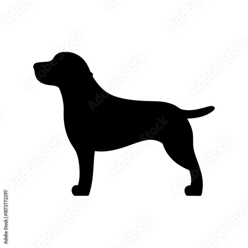 Silhouette of a dog