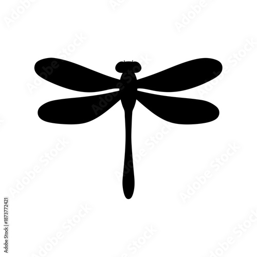 Silhouette of a dragonfly