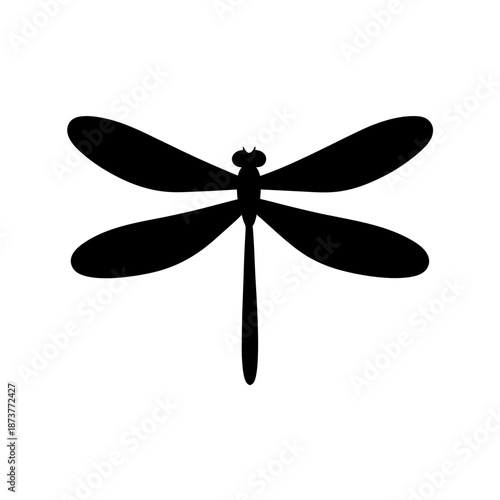 Graceful dragonfly in flight