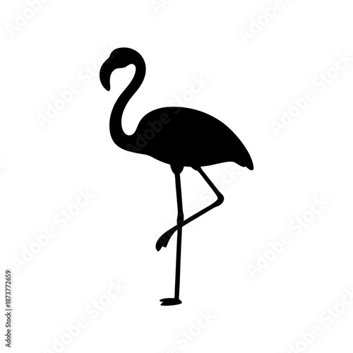 Elegant flamingo standing gracefully