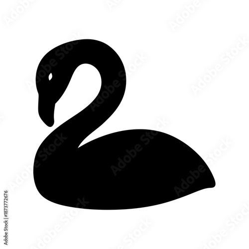 Elegant black swan