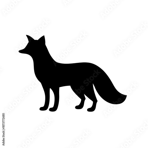 Silhouette of a fox