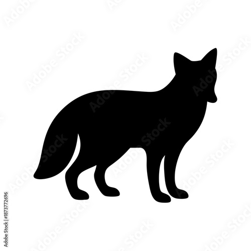 Silhouette of a fox