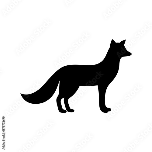 Silhouette of a fox