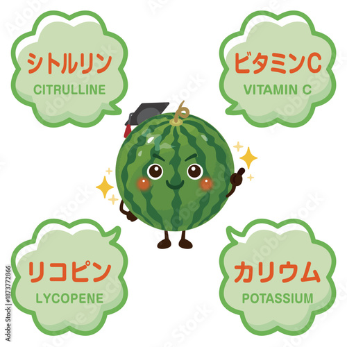 スイカのキャラクターとスイカに含まれる成分イラスト／Cute Watermelon Character Illustration with Nutrients