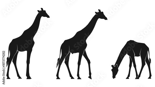 Set of four giraffe silhouettes in different styles, clean vector illustrations.
