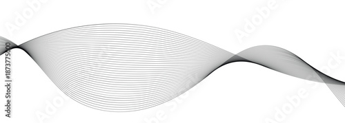  Black abstract lines on white background ideal for website and application design .Curve lines with blend effect.