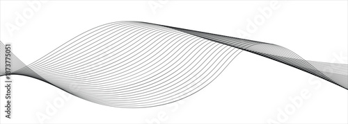  Black abstract lines on white background ideal for website and application design .Curve lines with blend effect.