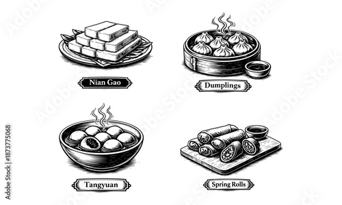 Traditional Chinese New Year Foods Engraving Style Vector Illustration Set