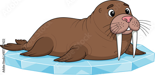 Cute cartoon walrus with long tusks sitting on an ice floe isolated on white background vector illustration.