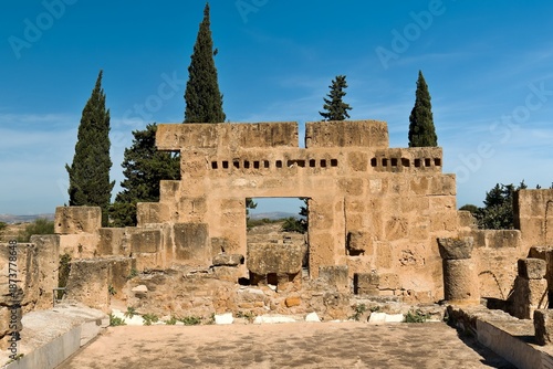 Obraz na płótnie Punic and Roman archaeological site in Utica. Tunisia. Africa.