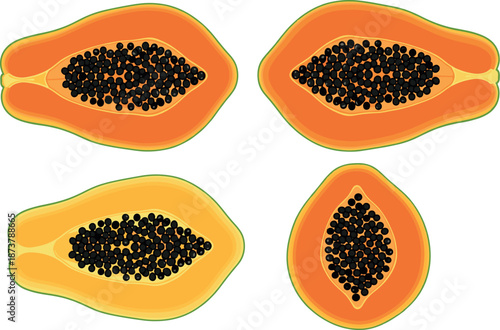 Educational papaya fruit vector set with whole fruit half slices seeds cubes and dashed line tracing for preschool activities.