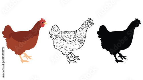 Three chickens in different colors and styles on a white background