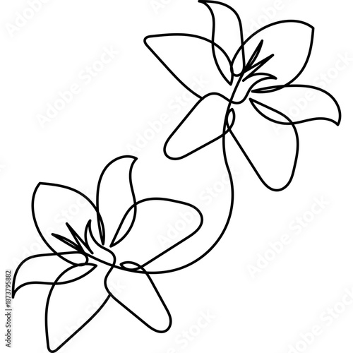 Flat Flower Line Art