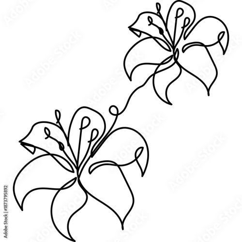 Flat Flower Line Art