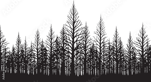 Moody dark enchanted forest silhouette featuring dense trees, mysterious woodland shapes, and a magical atmosphere