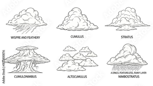 Illustration of various cloud types including Cumulus, Stratus, and Cumulonimbus formations in a white background