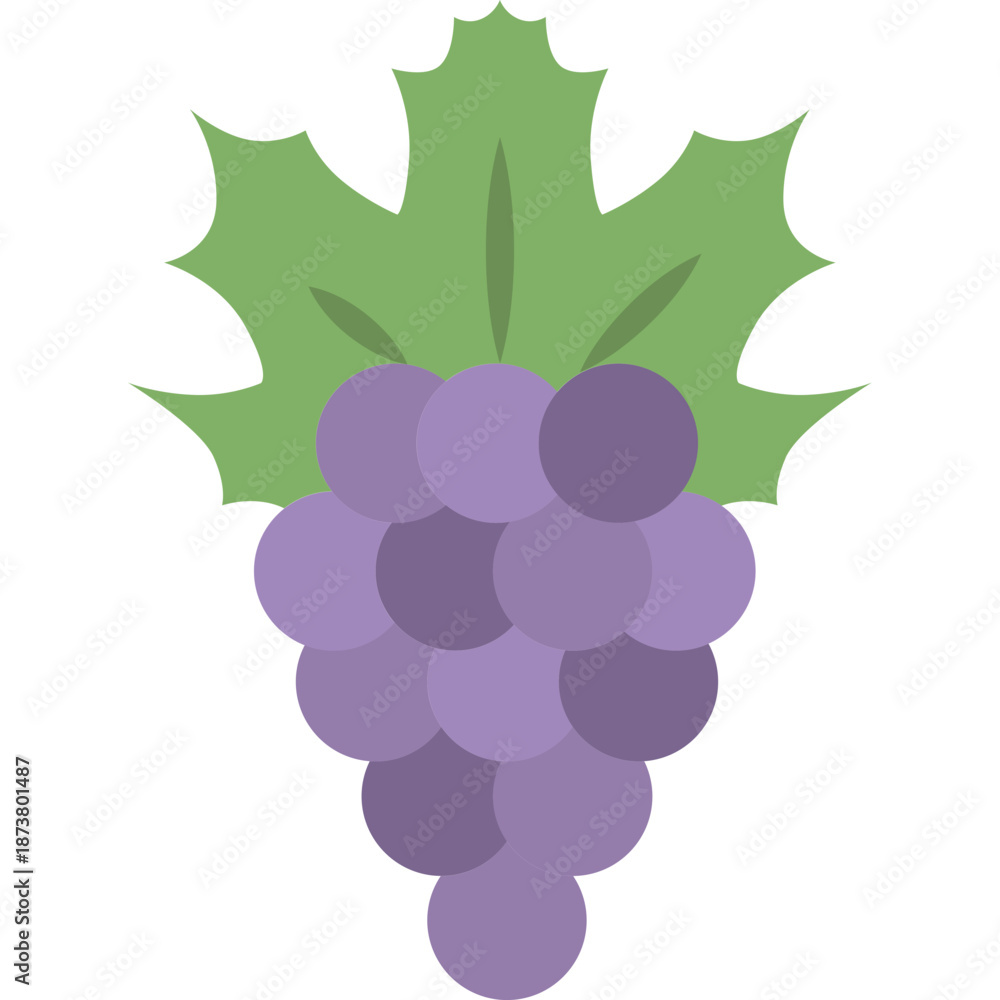 Fototapeta premium Grape bunch illustration