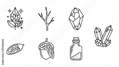 A collection of mystical symbols and nature elements in simple line art