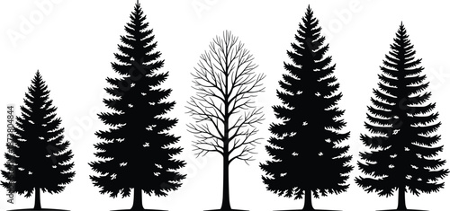 Collection of five black silhouette trees, pine, spruce, fir, and bare branch tree, isolated on white background for nature design.
