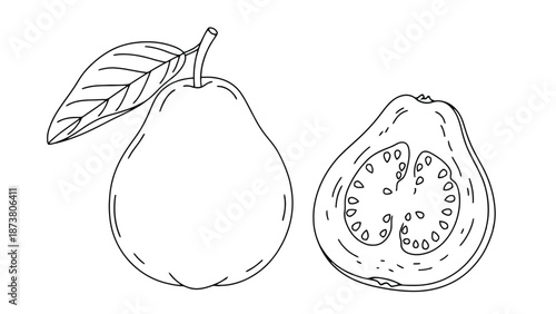 An illustration of a green pear and a pink guava on a white background