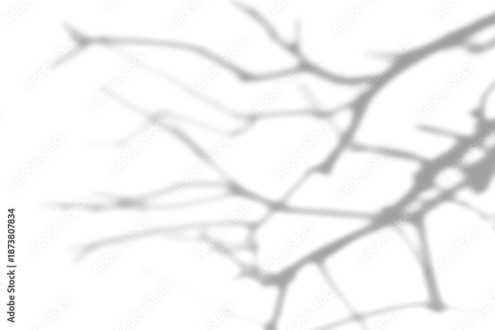 Obraz premium Dried branch shade design element