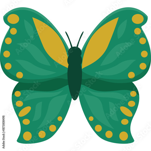 Green and Yellow Butterfly Illustration