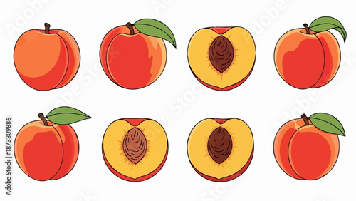Eight illustrated peaches whole fruits and cross-sections revealing their pits and juicy flesh