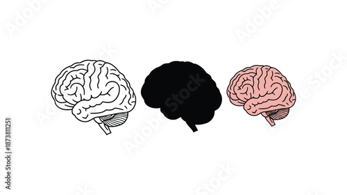 Three stylized brains are displayed on a white background.
