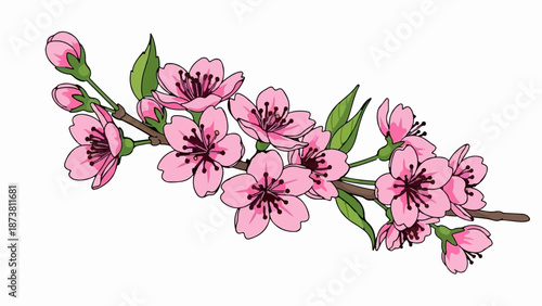 Delicate pink blossoms and green leaves adorn a slender branch, hinting at spring's gentle arrival