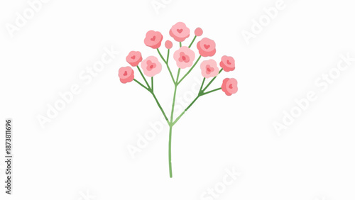 Delicate pink flowers bloom on thin green stems, forming a gentle, airy bouquet