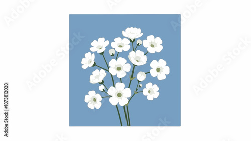 Delicate white blossoms cluster on thin green stems against a soft blue background