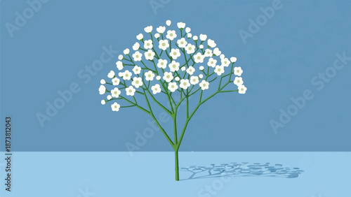 Delicate white blossoms form a cloud atop a green stem, casting a dappled shadow