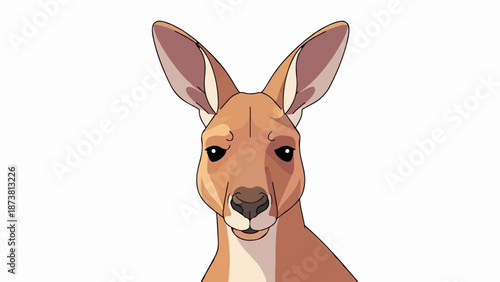 Close up portrait of a red kangaroo, facing forward with large ears and a curious expression