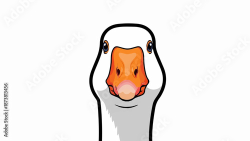 Close-up cartoon illustration of a white goose's head and neck, facing forward