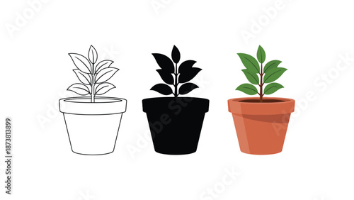 Four potted plants in different stages of illustration and color