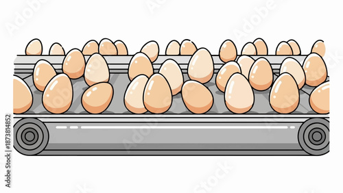 Conveyor belt sorting dozens of beige eggs for processing