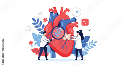 Medical concept illustration of two doctors or cardiologists examining a large human heart, representing cardiology and healthcare.