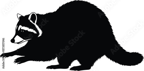 Silhouette of a Black Raccoon in Motion