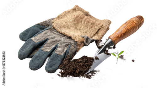 Wallpaper Mural Gardening tools with gloves and soil for planting. Torontodigital.ca