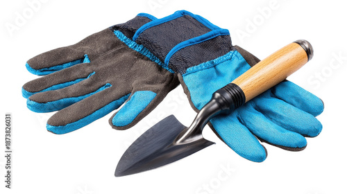 Wallpaper Mural Gardening gloves and trowel for planting. Torontodigital.ca