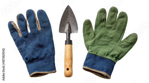 Wallpaper Mural Gardening tools and gloves for planting. Torontodigital.ca