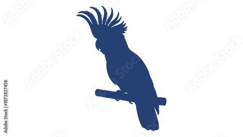 Distinctive blue cockatoo silhouette with a prominent crest perching on a branch on an isolated white background.
