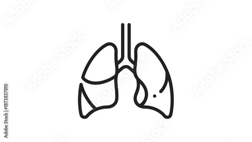 Outline Icon of Human Lungs Representing the Respiratory System and Health on Isolated White Background.