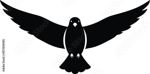 Black bird, dove or pigeon flying, front view