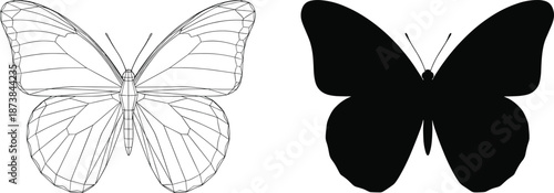Butterfly outline and silhouette designs featuring delicate wings, symmetry, and natural beauty in elegant black vector illustration