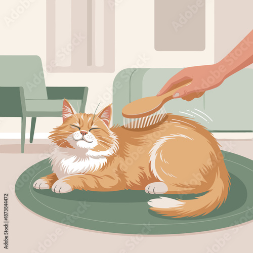 Fluffy ginger and white cat enjoys being brushed by a person while lying on a round green rug in a cozy living room setting.